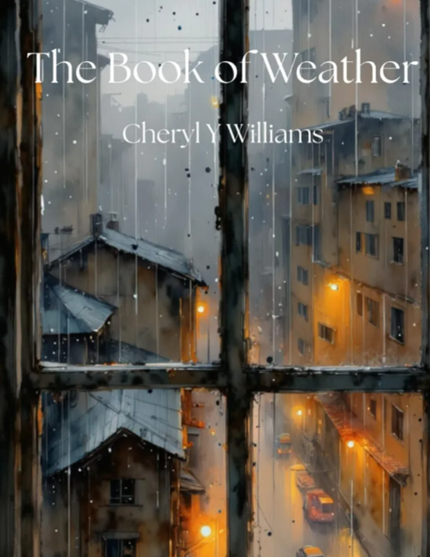 Children's Illustrated Books