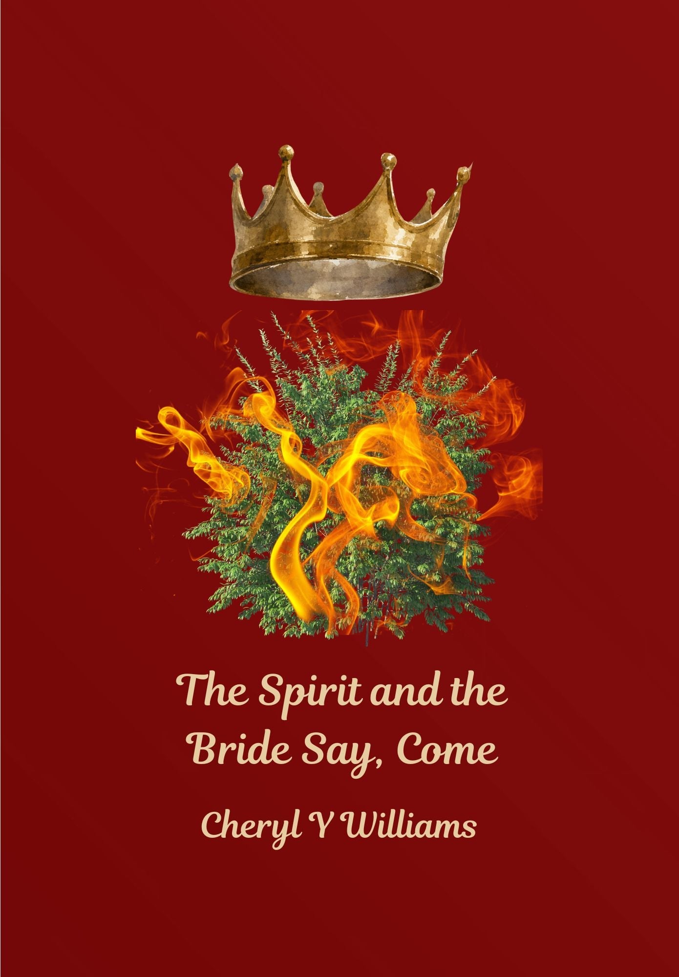 Bible Study Guides